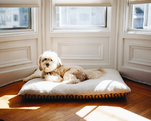 How to Choose the Right Hardwood Flooring for Your Home