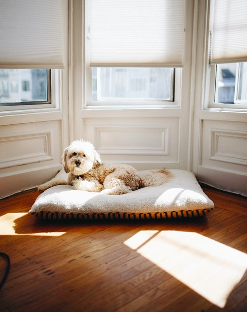 How to Choose the Right Hardwood Flooring for Your Home