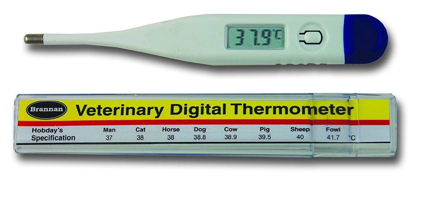 Thermometer